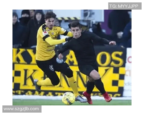 埃尔夫斯堡与辛堡的精彩对决分析与赛前预测 埃尔夫斯堡与辛堡的精彩对决分析与赛前预测