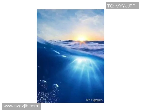 湘南海洋与大板樱花激战正酣谁能在这场对决中笑到最后 湘南海洋与大板樱花激战正酣谁能在这场对决中笑到最后