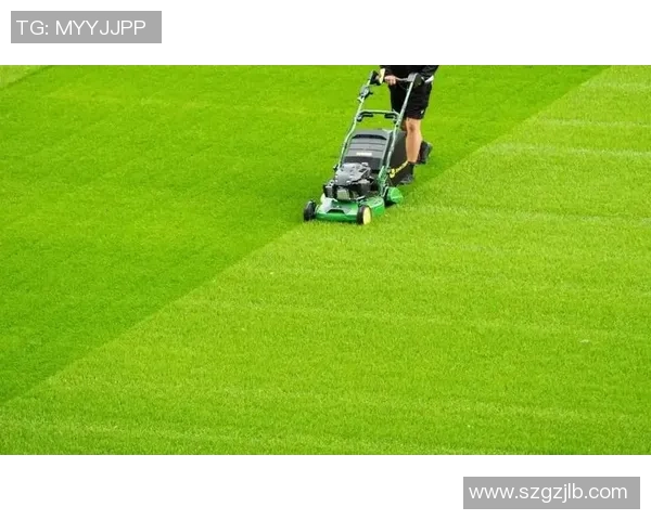 温布利草坪质量引发球员集体吐槽欧冠决赛场地争议升级