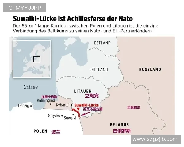 白俄罗斯与立陶宛的历史交锋与未来展望分析